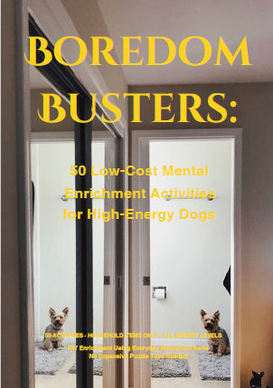 Boredom Busters - 50 Activities for High Energy Dogs