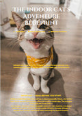 The Indoor Cat's Adventure Blueprint