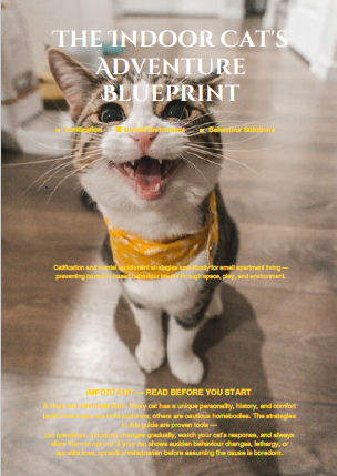 The Indoor Cat's Adventure Blueprint