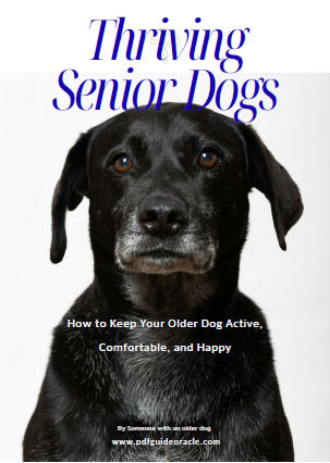 Thriving Senior Dogs
